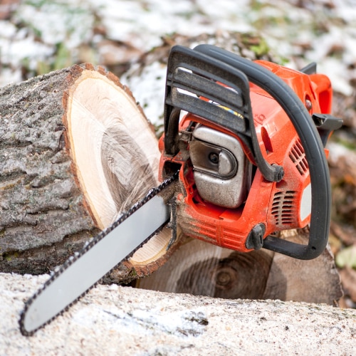 Tree Service